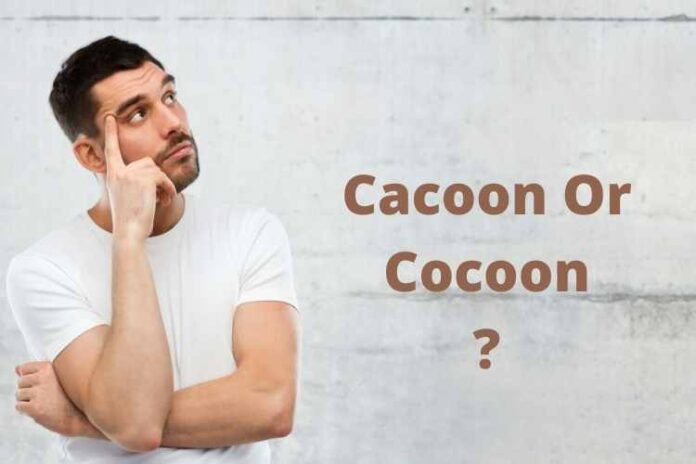 Cacoon Or Cocoon : What Is The Difference?