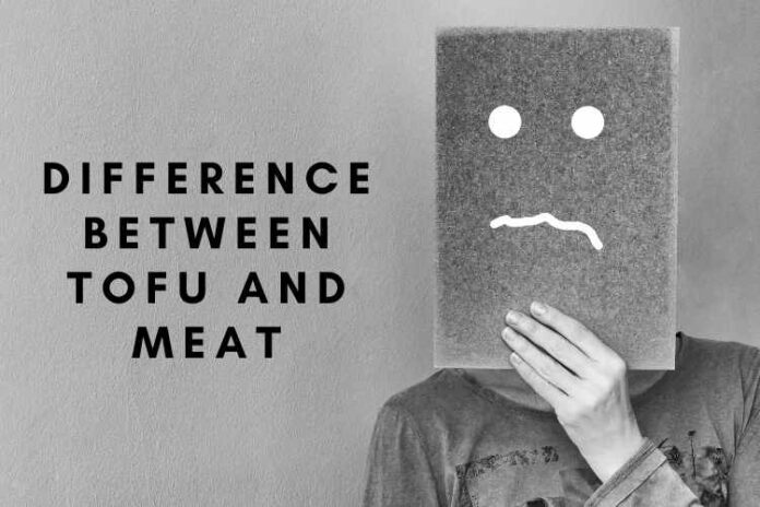 Difference Between Tofu and Meat