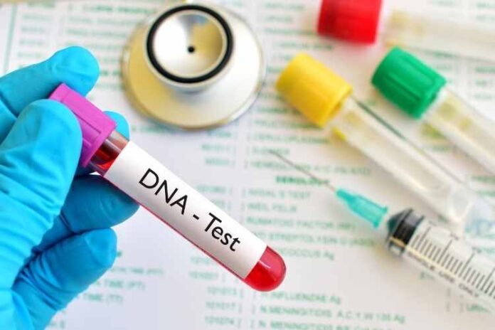 What To Look For In a DNA Testing Company