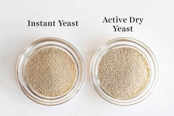 DIFFERENCE BETWEEN ACTIVE DRY YEAST AND INSTANT DRY YEAST
