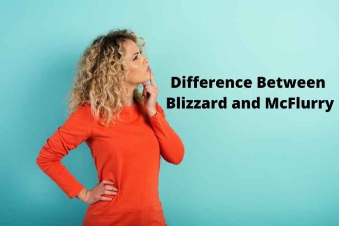 Difference Between Blizzard and McFlurry