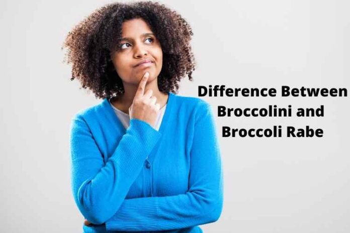 Difference Between Broccolini and Broccoli Rabe