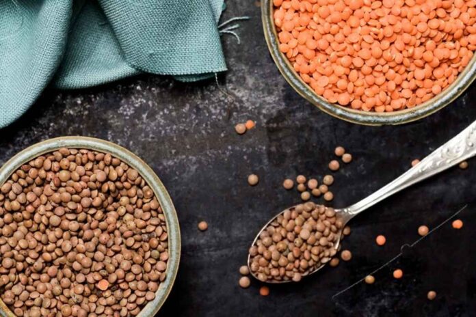 Difference Between Brown Lentils and Green Lentils