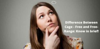 Difference Between Cage - Free and Free-Range Know in brief!