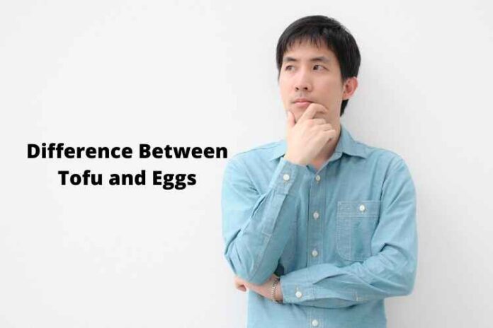 Difference Between Tofu and Eggs