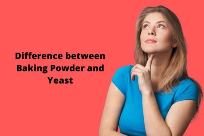 Difference between Baking Powder and Yeast