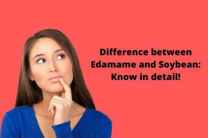Difference between Edamame and Soybean Know in detail!