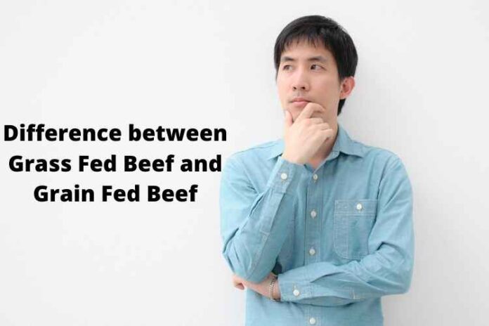 Difference between Grass Fed Beef and Grain Fed Beef