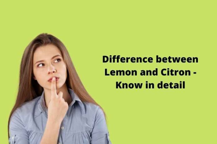 Difference between Lemon and Citron - Know in detail