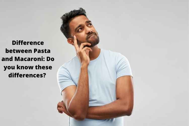 Difference between Pasta and Macaroni Do you know these differences? News Daily Times Your