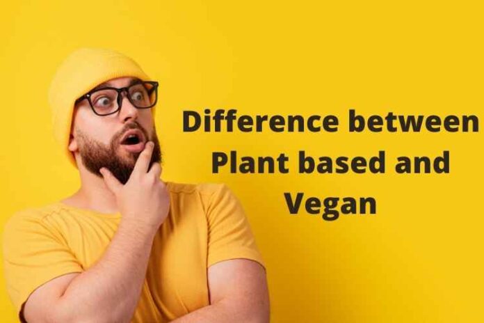 Difference between Plant based and Vegan