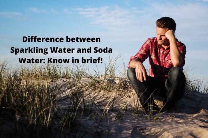 Difference between Sparkling Water and Soda Water: Know in brief! 