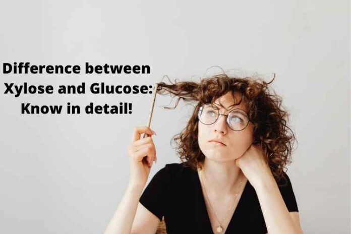 Difference between Xylose and Glucose Know in detail!