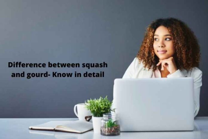 Difference between squash and gourd- Know in detail