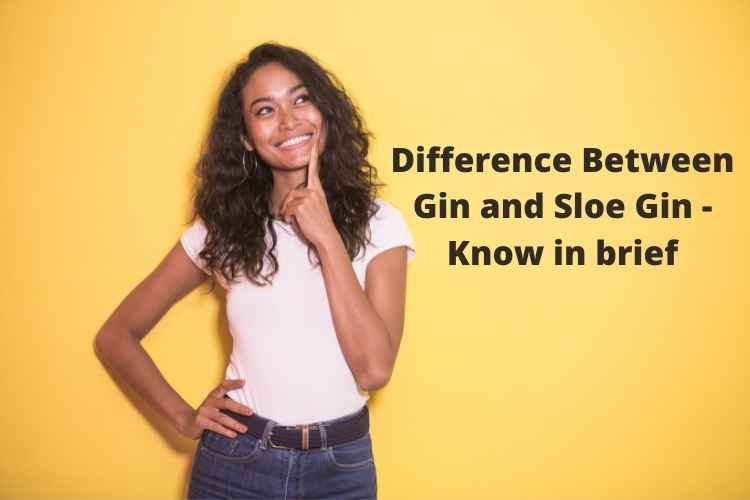Difference Between Gin and Sloe Gin Know in brief