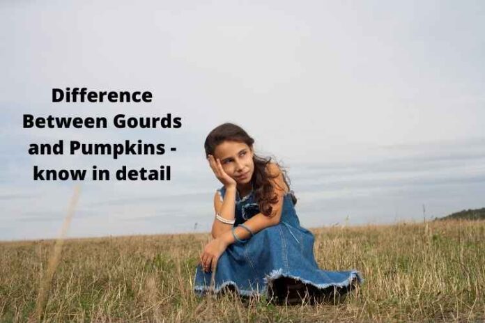 Difference Between Gourds and Pumpkins - know in detail