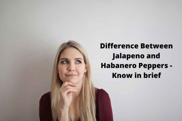 Difference Between Jalapeno and Habanero Peppers - Know in brief