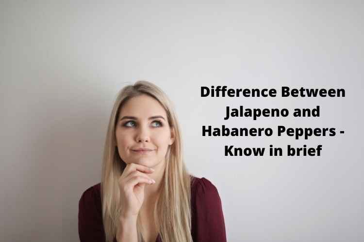 Difference Between Jalapeno and Habanero Peppers Know in brief