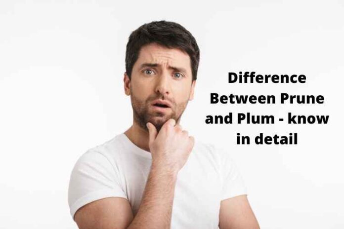 Difference Between Prune and Plum - know in detail