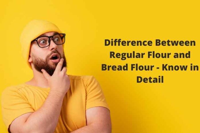 Difference Between Regular Flour and Bread Flour - Know in Detail