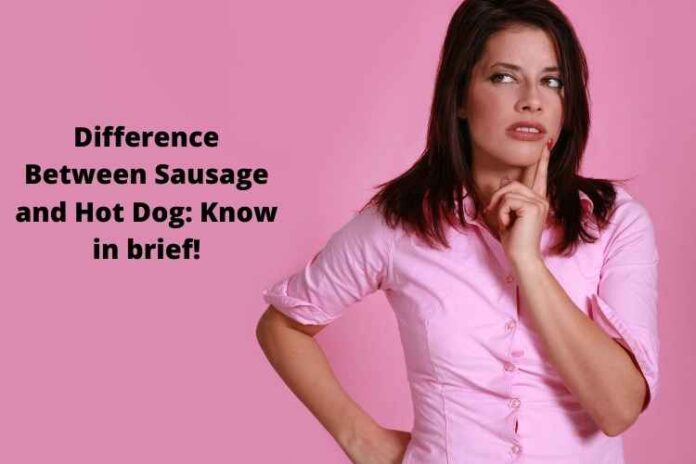 Difference Between Sausage and Hot Dog Know in brief!
