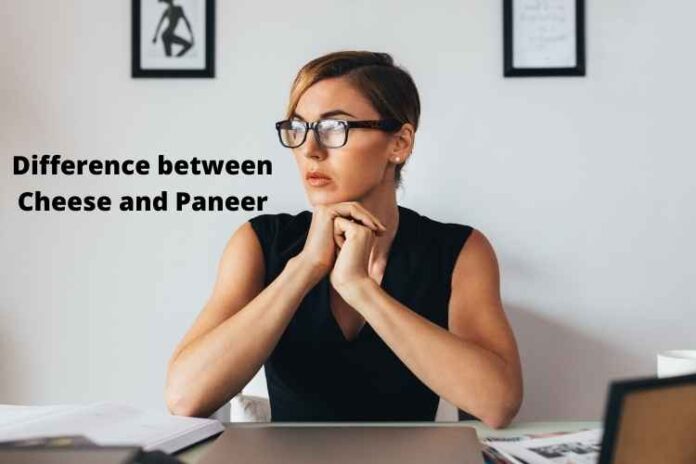 Difference between Cheese and Paneer