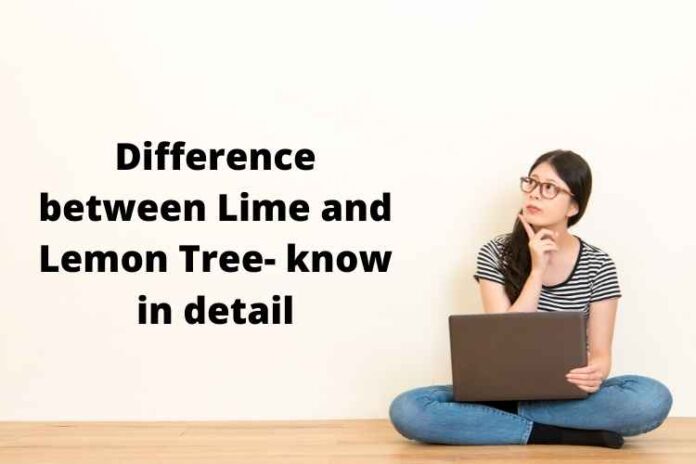 Difference between Lime and Lemon Tree- know in detail
