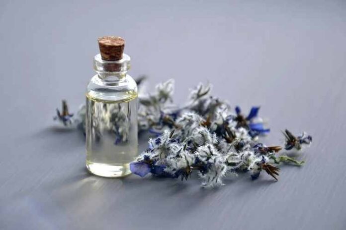 Tips When Buying Fragrances from a Perfumes and Fragrance Outlet