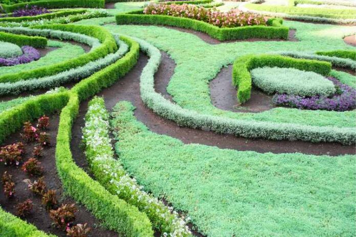 Landscape Designing With Heart-Touching Perfection