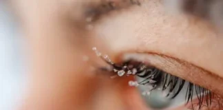 Can Eyelashes Grow Back, What Really Happens After Loss, and How Long Regrowth Takes Can Eyelashes Grow Back