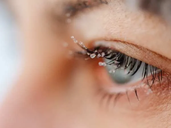 Can Eyelashes Grow Back