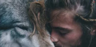 Wolf vs Dire Wolf: Size, Reality, Myth, and Why the Difference Matters Wolf vs Dire Wolf