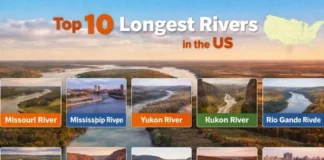 Top 10 Longest Rivers in the US: The Real Countdown! Top 10 Longest Rivers in the US