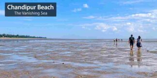 Chandipur Beach Guide: Real Costs, Routes & Tide Times Chandipur Beach