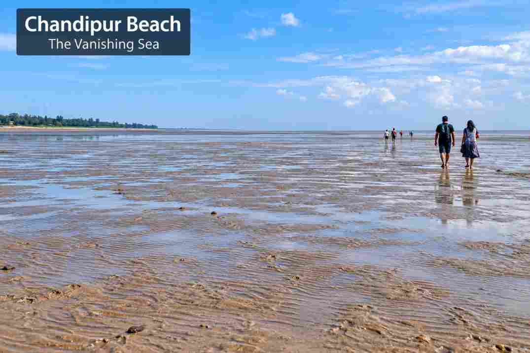 Chandipur Beach